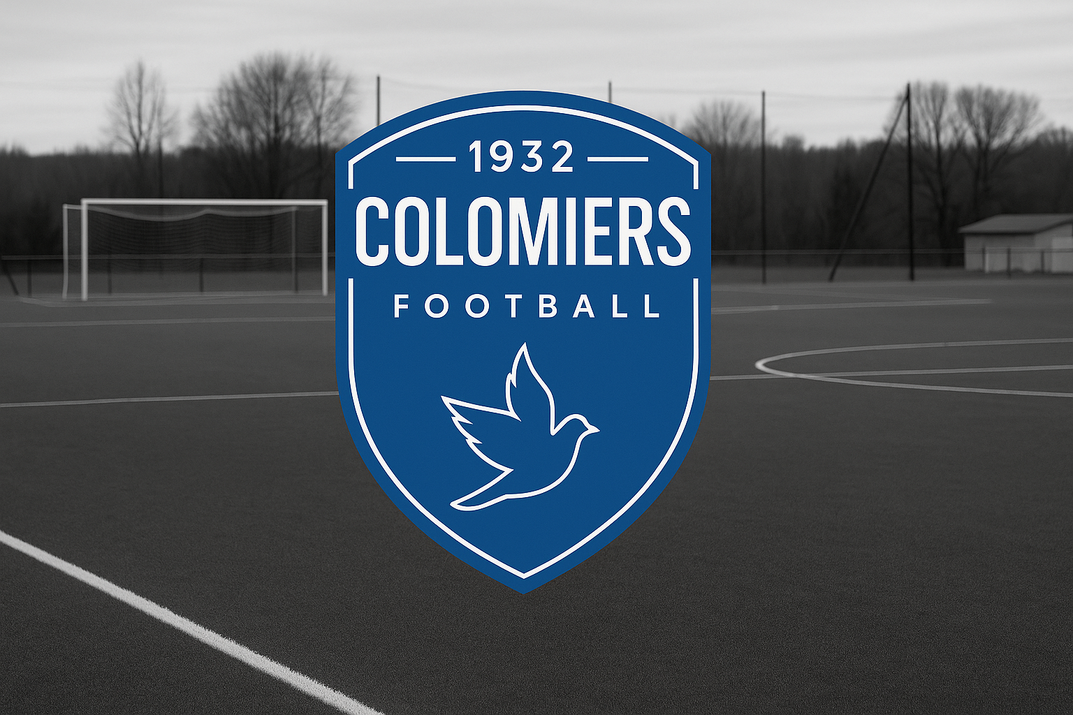 Mercato : Les recrues de Colomiers